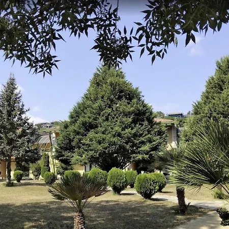 Doga Tatil Koeyue * 아그바