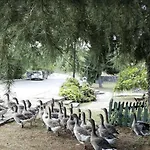 Otel Doğa Tatil Köyü *